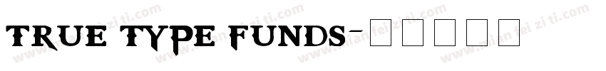 true type funds字体转换